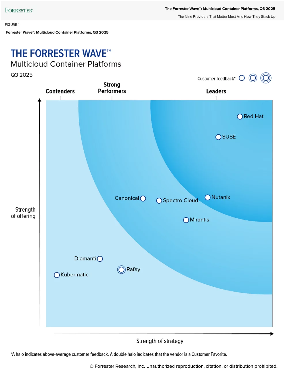 The Forrester Wave asstimg