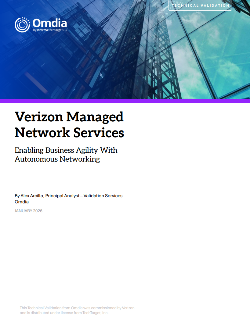 Verizon Managed Network Services